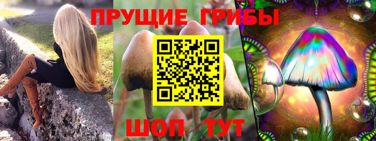 Псилоцибиновые грибы MAGIC MUSHROOMS  Вход с VPN  Кисловодск  Псилоцибиновые грибы ЛСД 