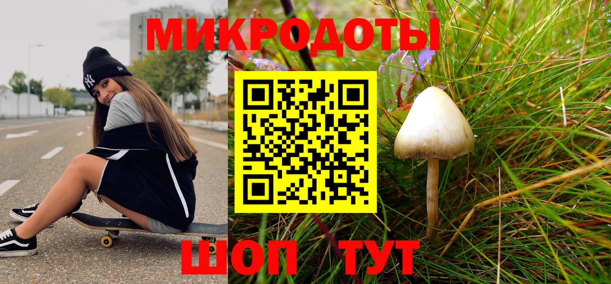 Галлюциногенные грибы MAGIC MUSHROOMS Кисловодск